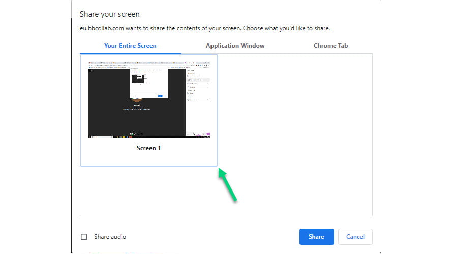 Screenshot of Share Application pop-up from Collaborate with arrow point at selected window