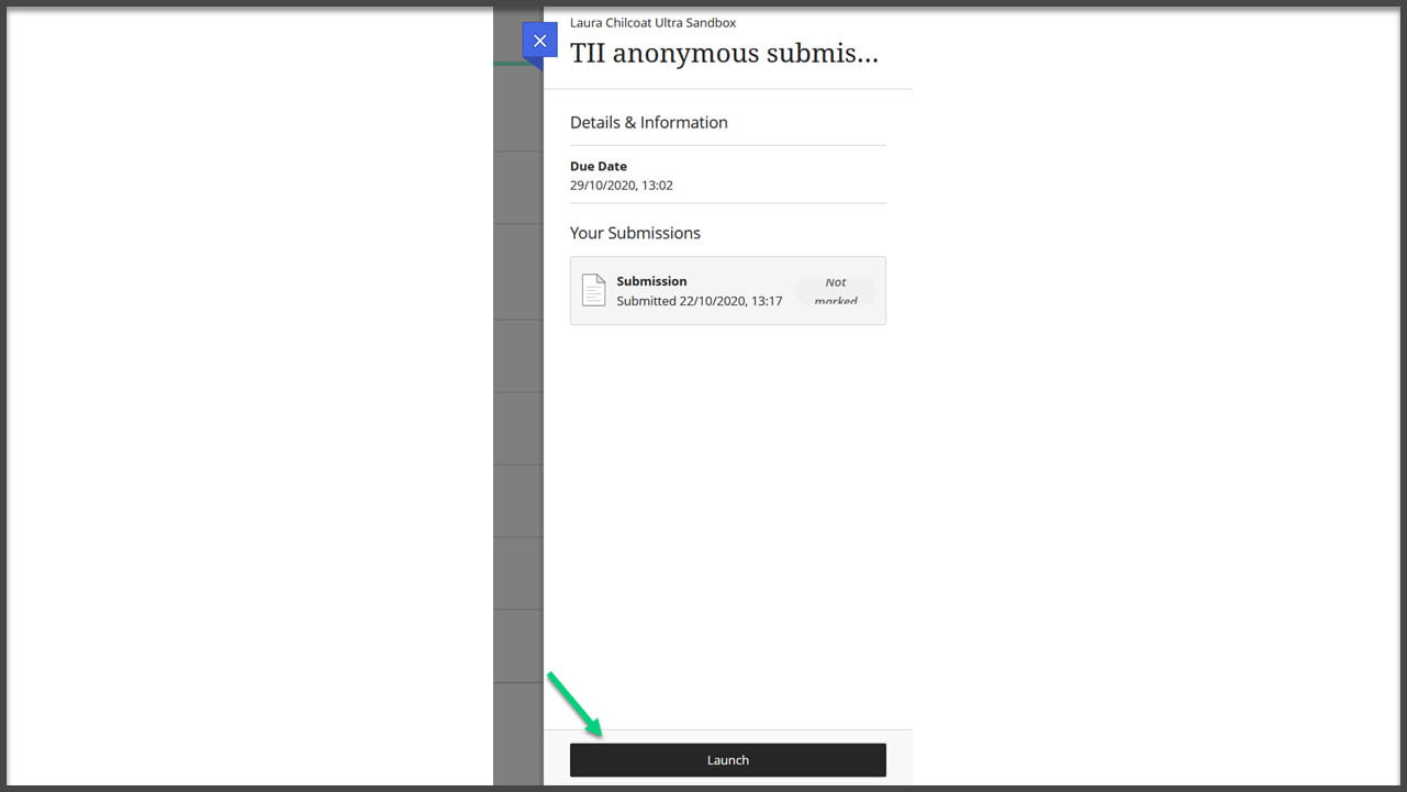 Screenshot of the side panel for Turnitin with an arrow pointing at the Launch button