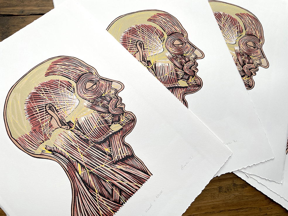 Head and neck anatomy linocut print