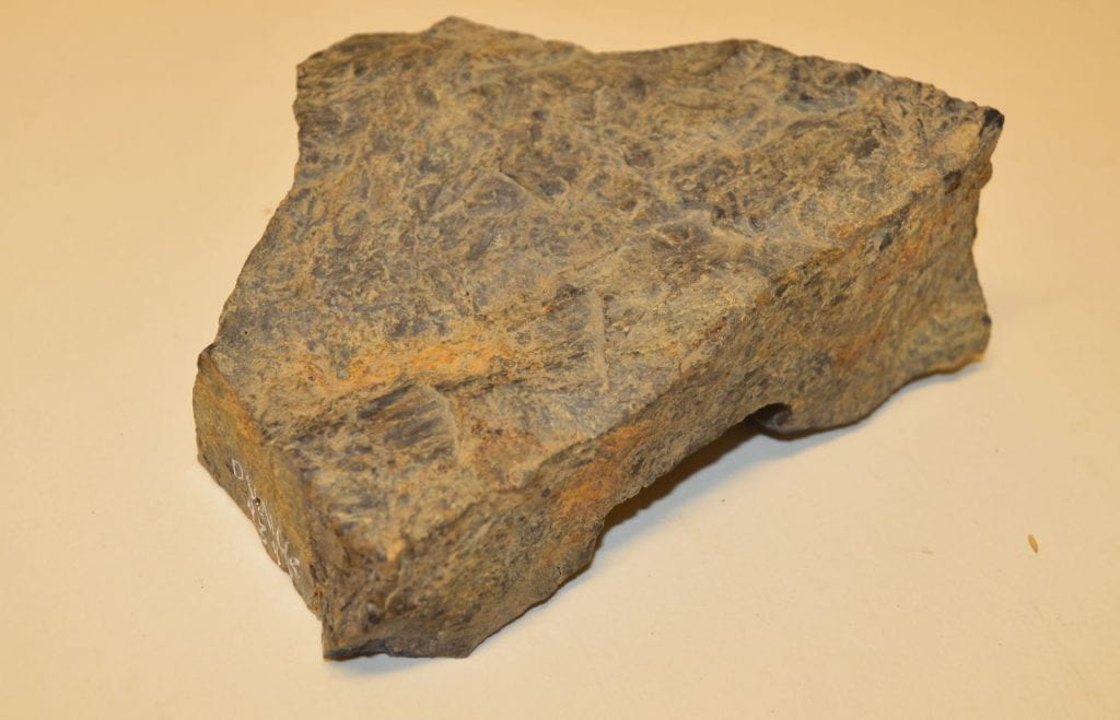 triangular piece of fossilised rock on a plain backdrop 