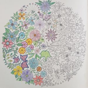 Image of a colouring in drawing