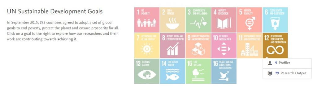 SDG flags on Discovery home page.