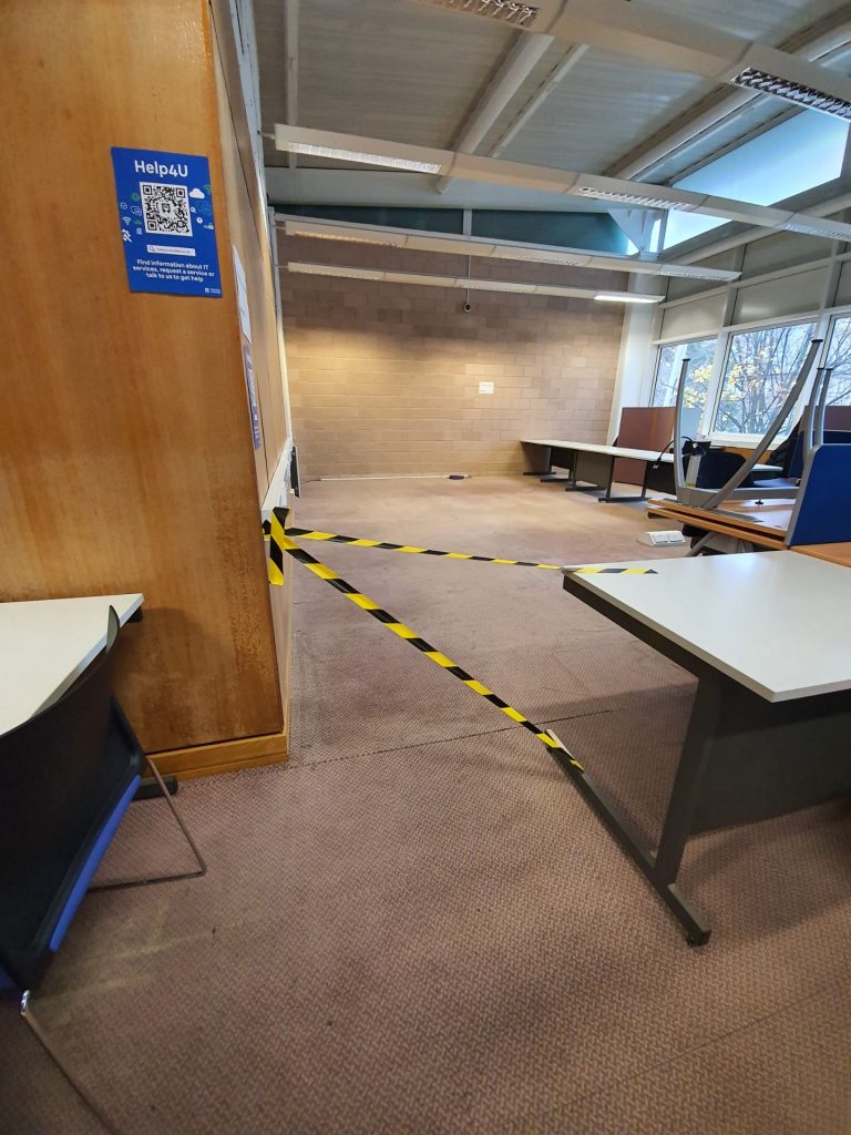 Study area cleared and cordoned off with black and yellow tape