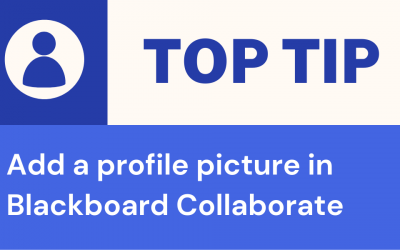 Add a Profile Picture in Collaborate