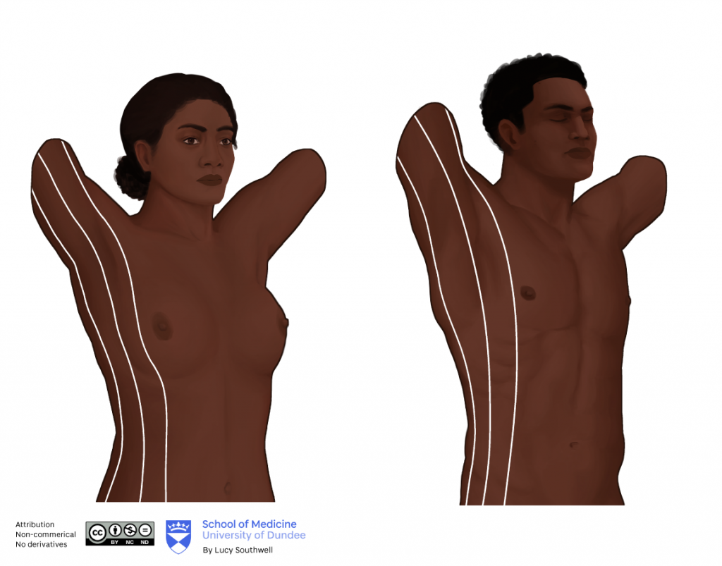 Black female and male - axillary lines