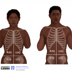 Black female and male - abdominal quadrants