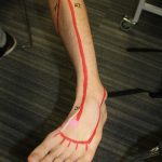 Anatomy Body Painting - lower leg arteries