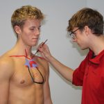 Anatomy Body Painting - the heart